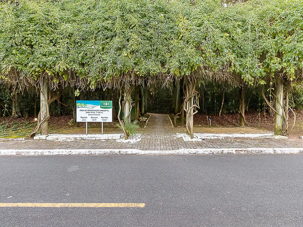 Bosque — natureza preservada dentro do condomínio